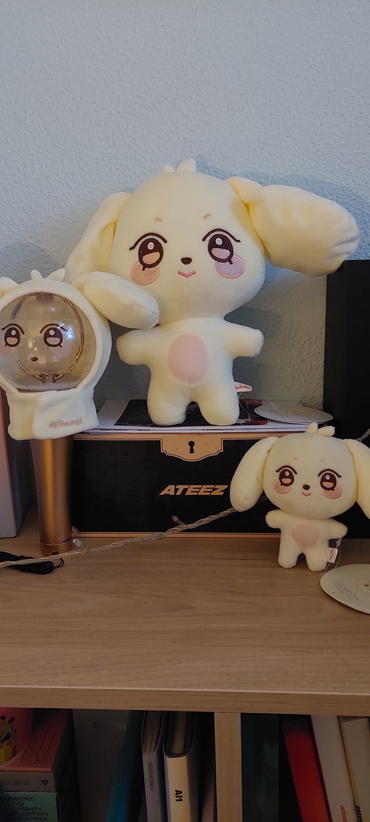 Hetmongi 도착했어요 😍❤️ #aniteez #hetmongi