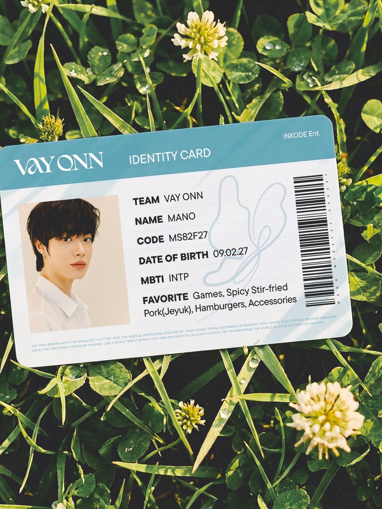 VAYONN's IDENTITY