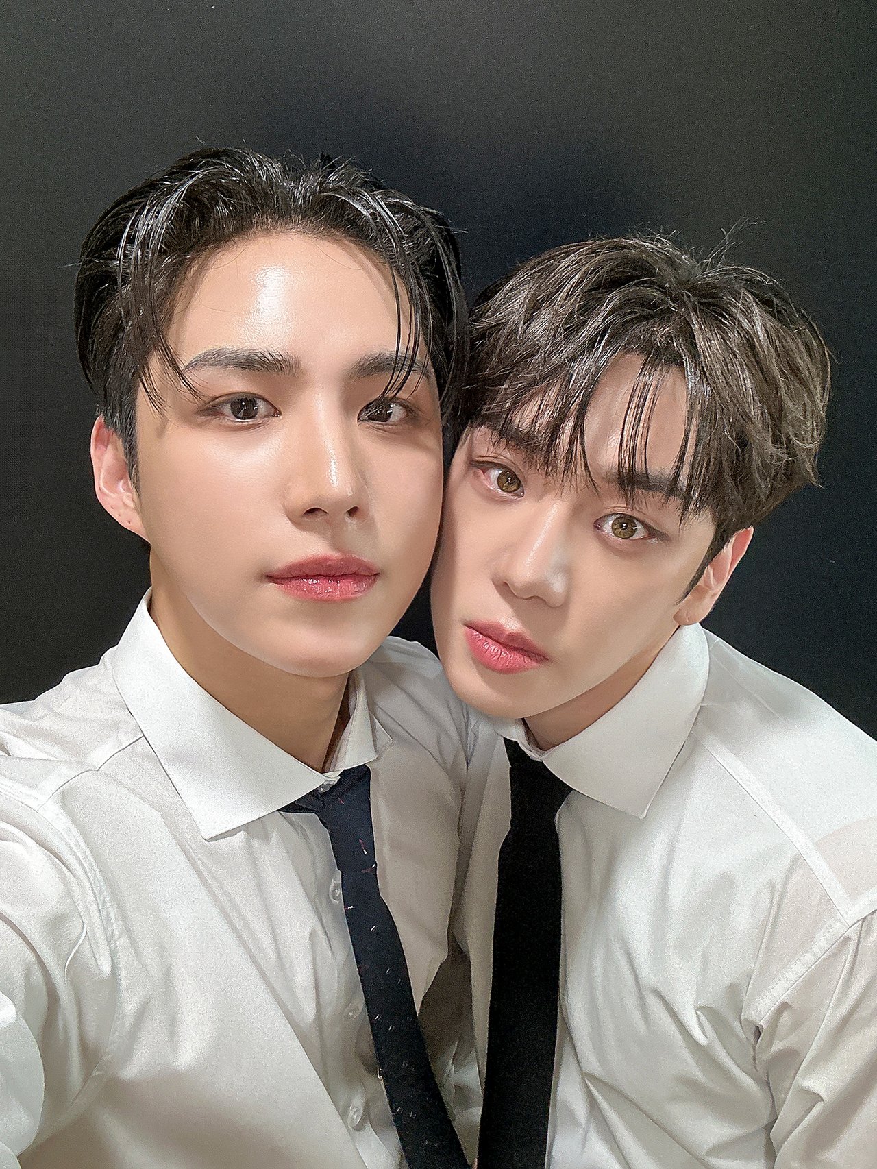 a-c-e-official-site