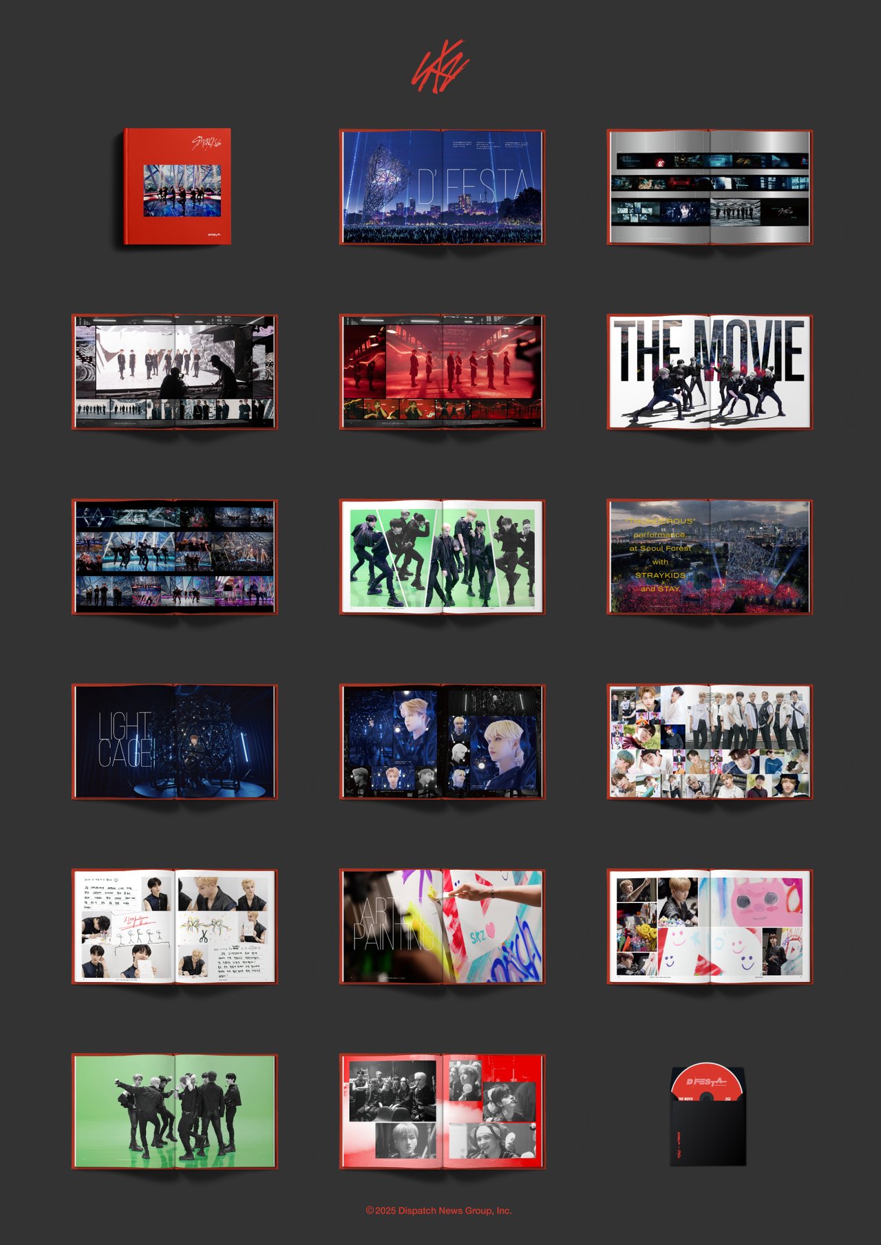 D’FESTA COMPLETE EDITION StrayKids CDJapan : D'FESTA COMPLETE EDITION (2 Photobooks + Blu-ray