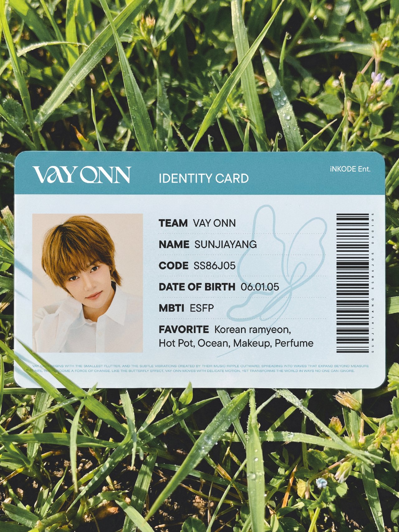 VAYONN's IDENTITY