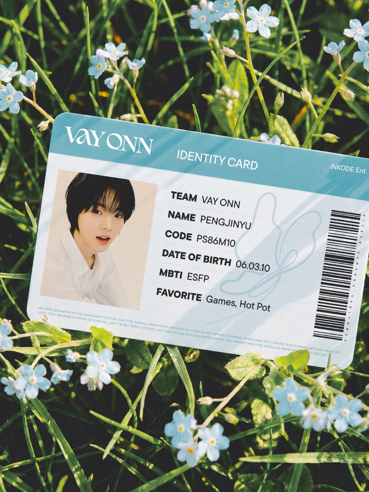 VAYONN's IDENTITY
