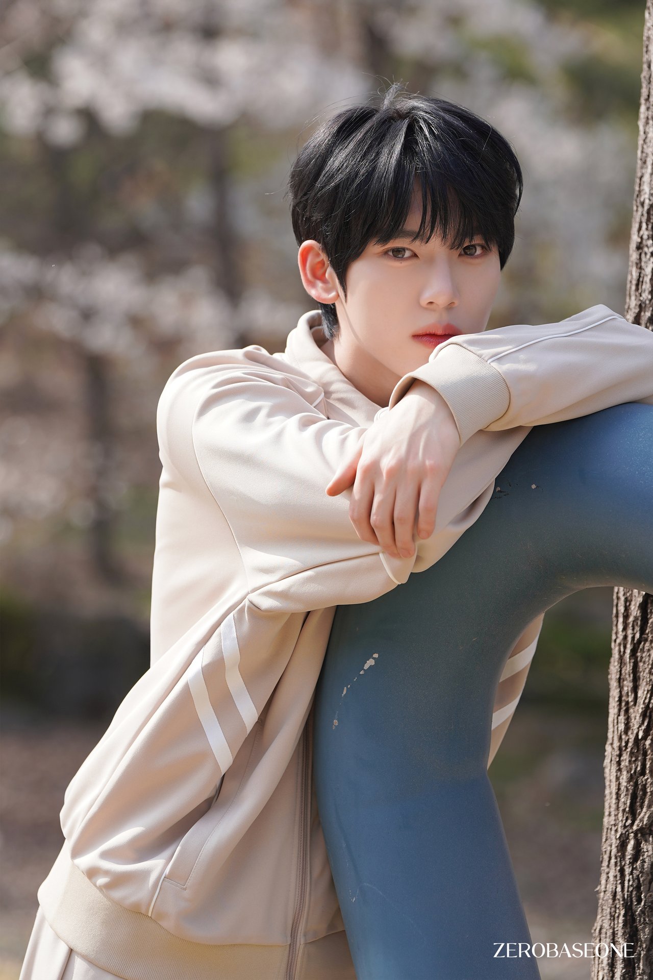 زیروبیسوان