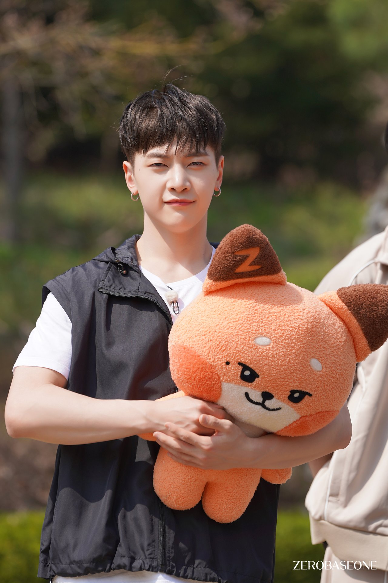 زیروبیسوان