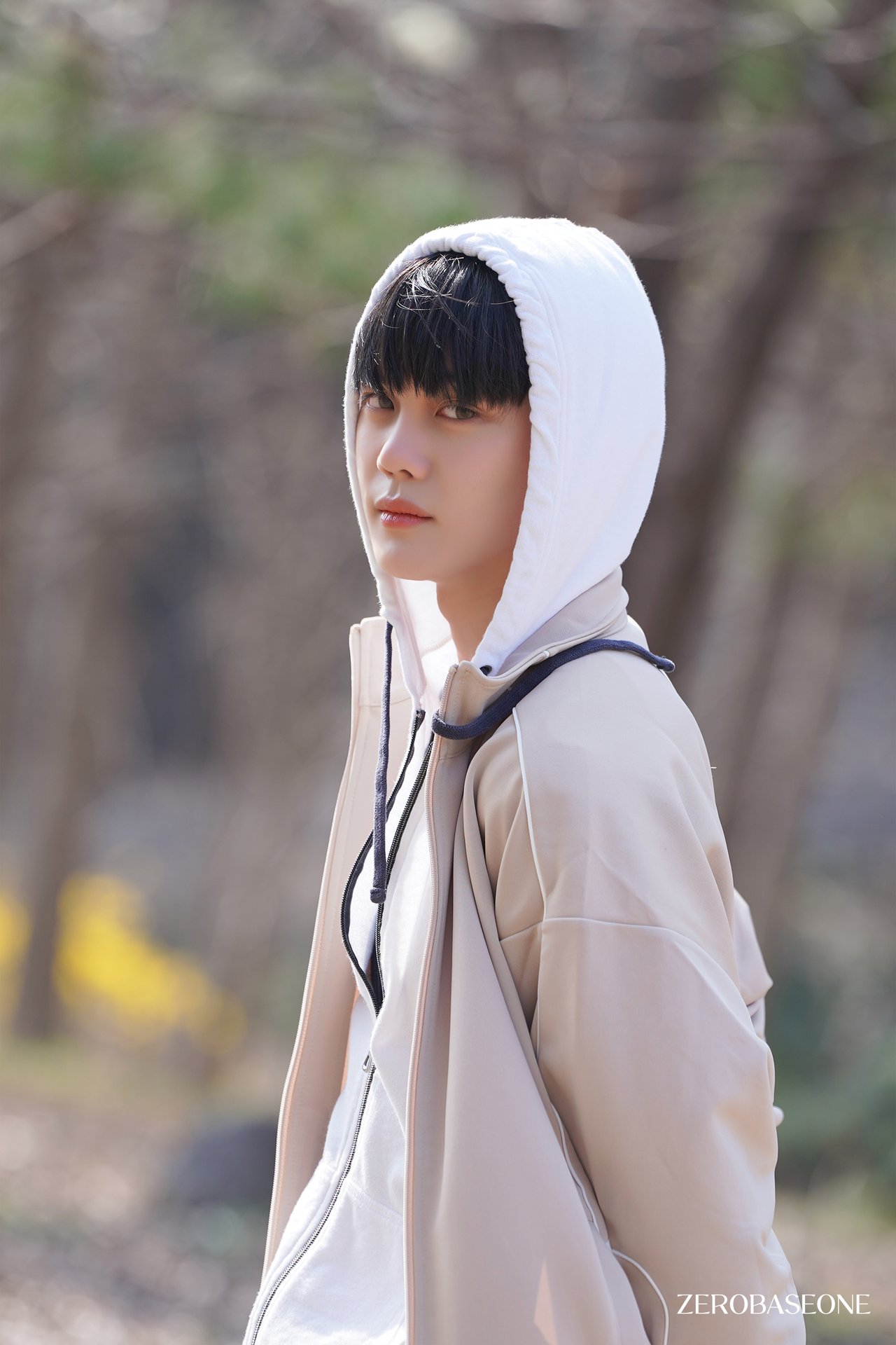 زیروبیسوان