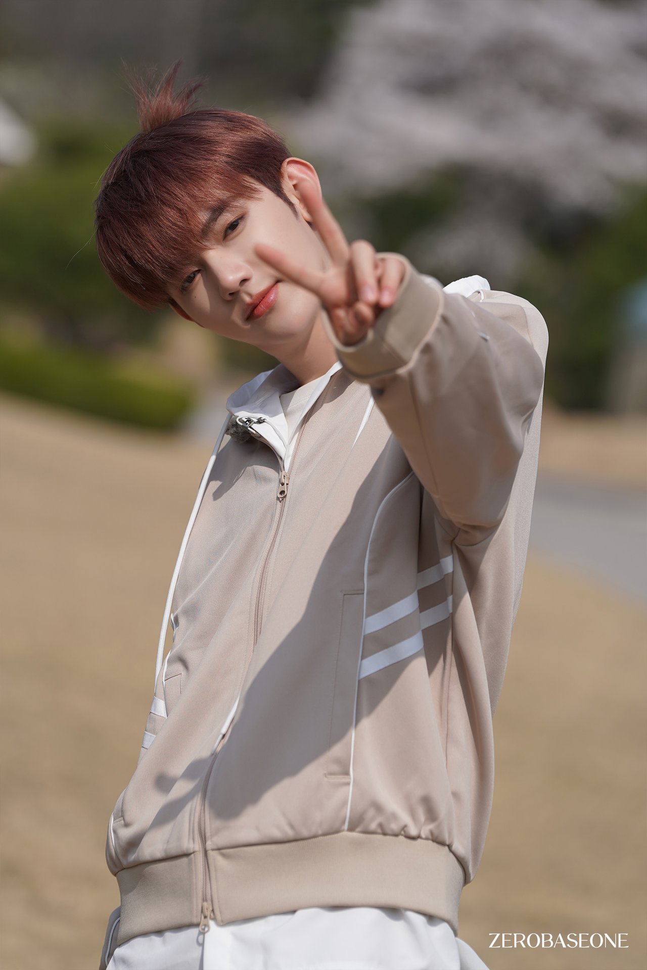 زیروبیسوان