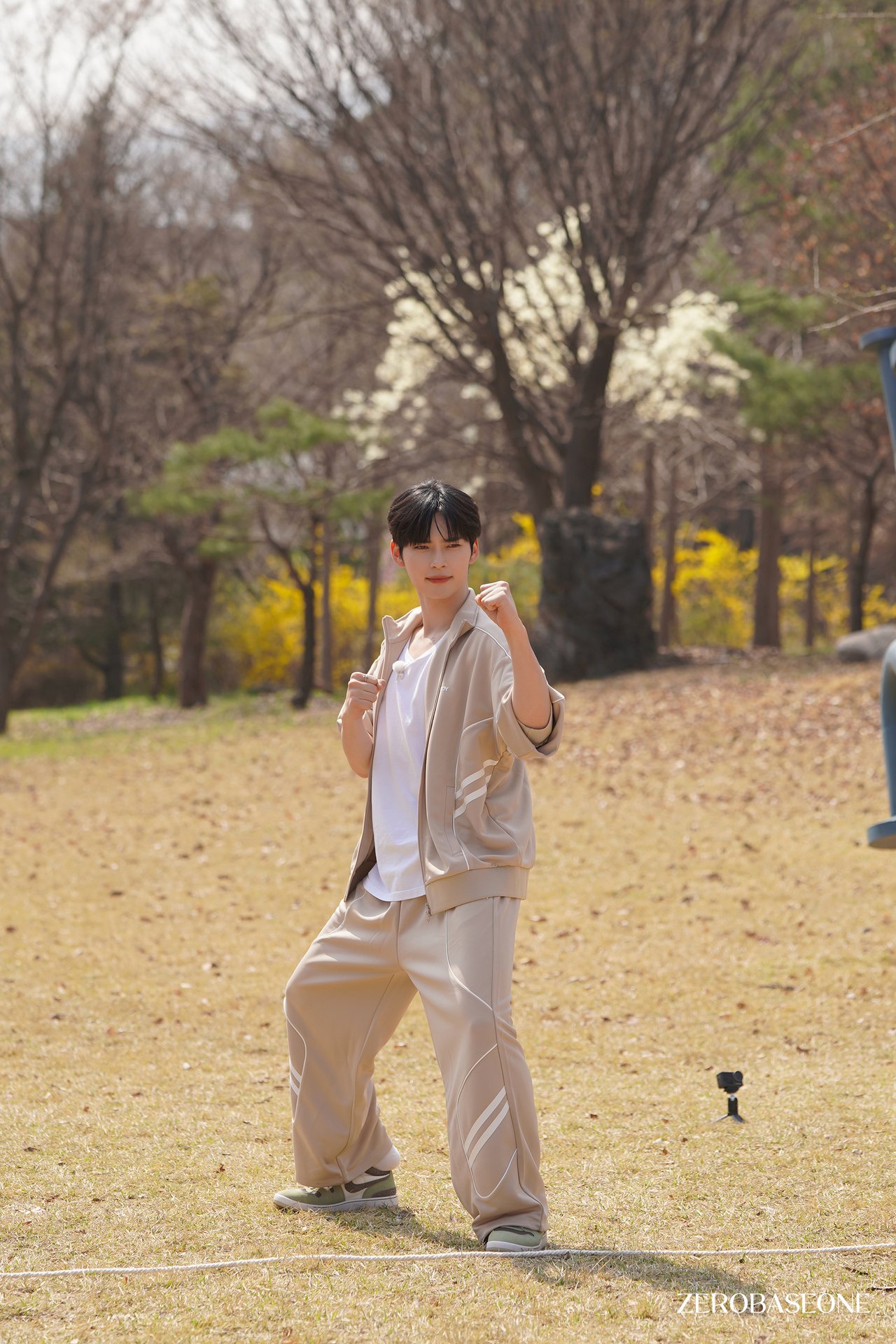 زیروبیسوان