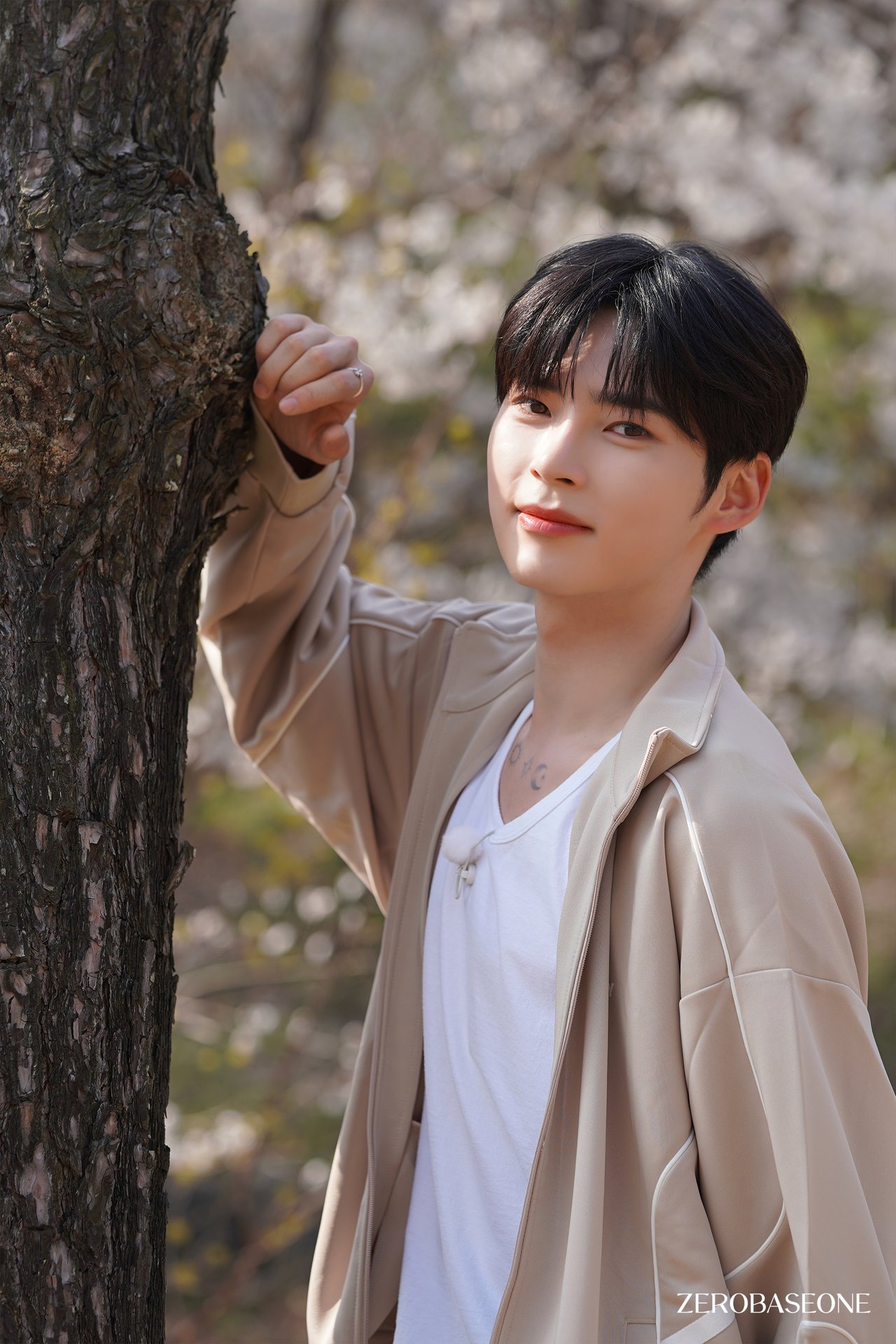 زیروبیسوان