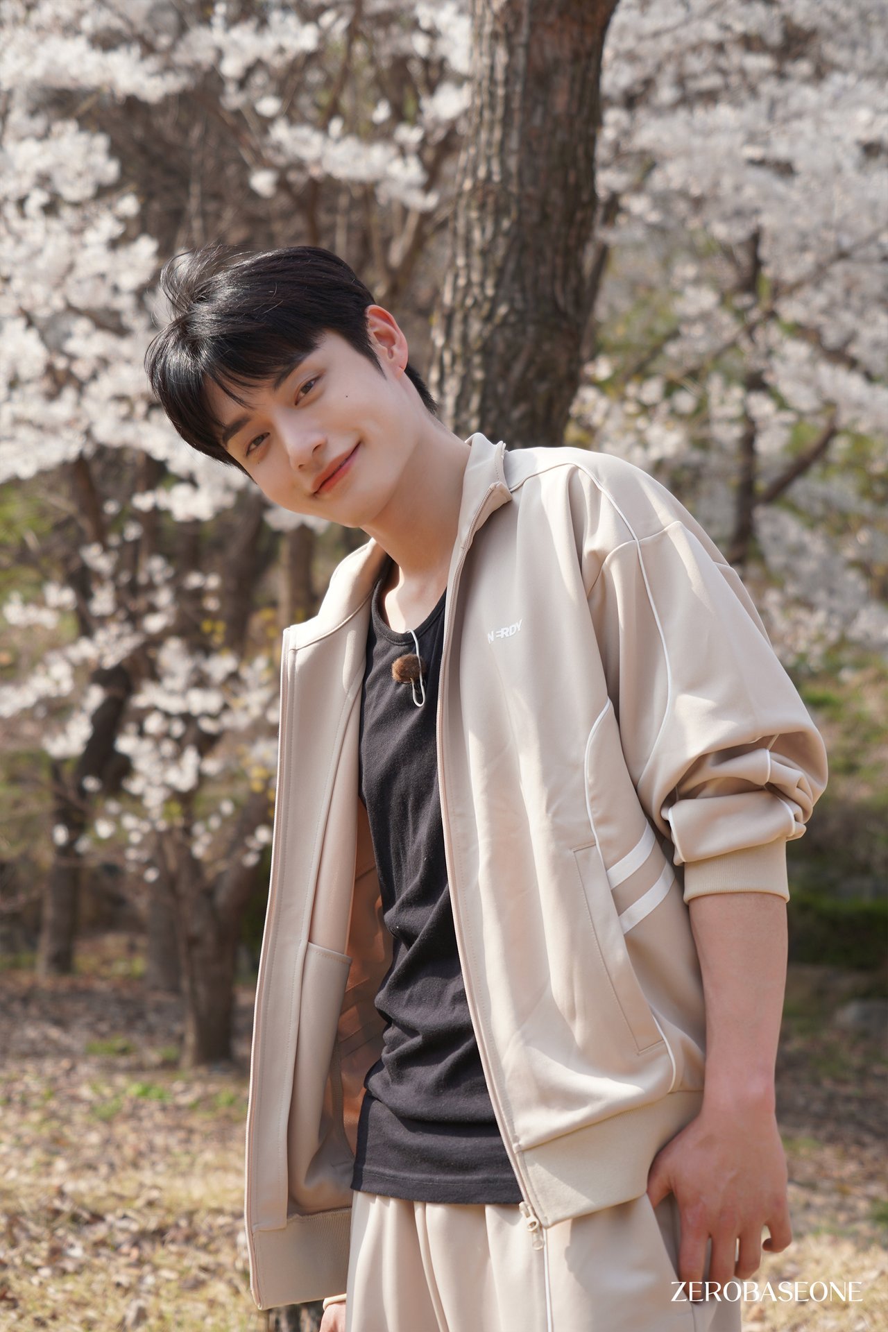 زیروبیسوان