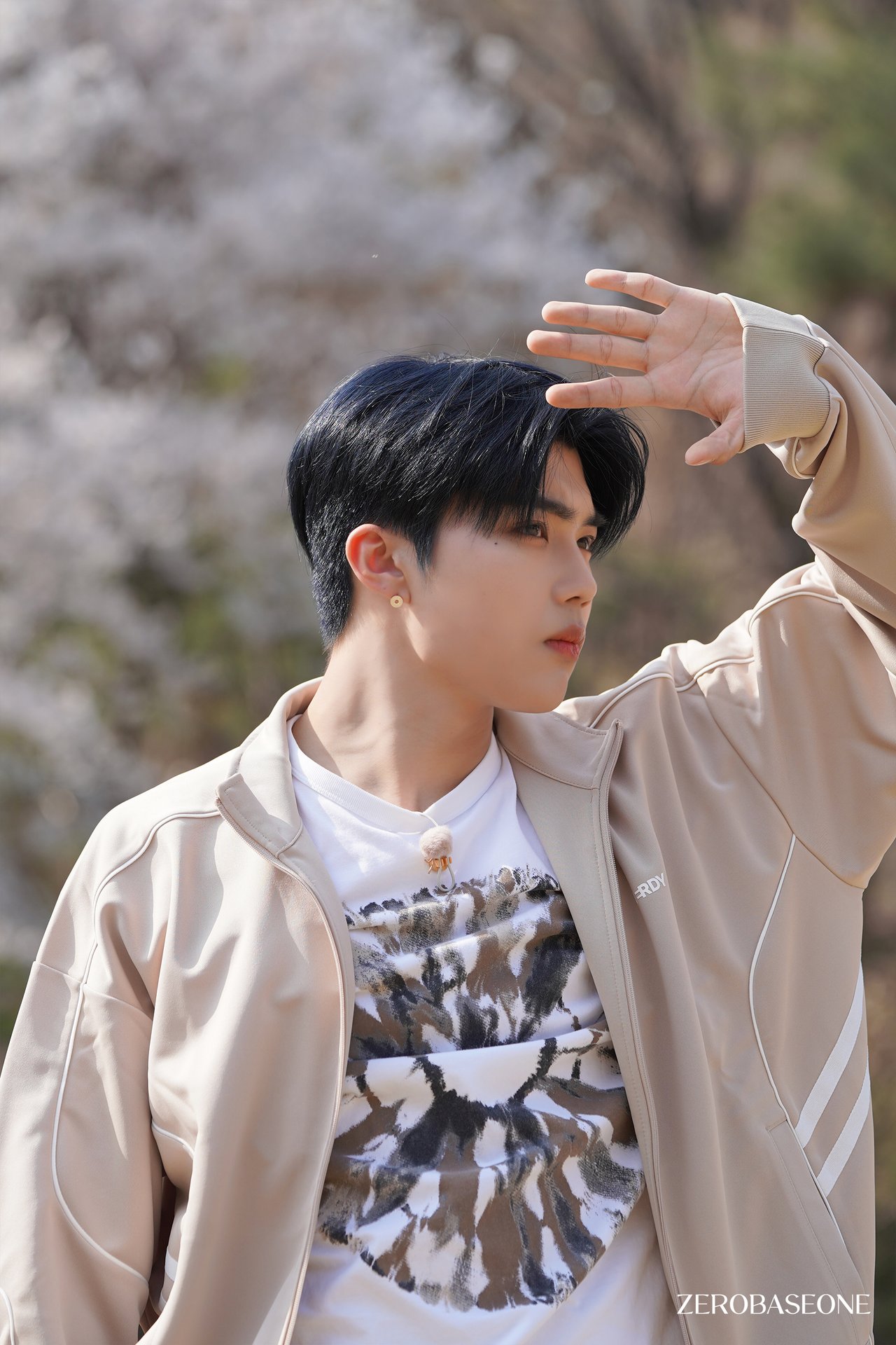 زیروبیسوان