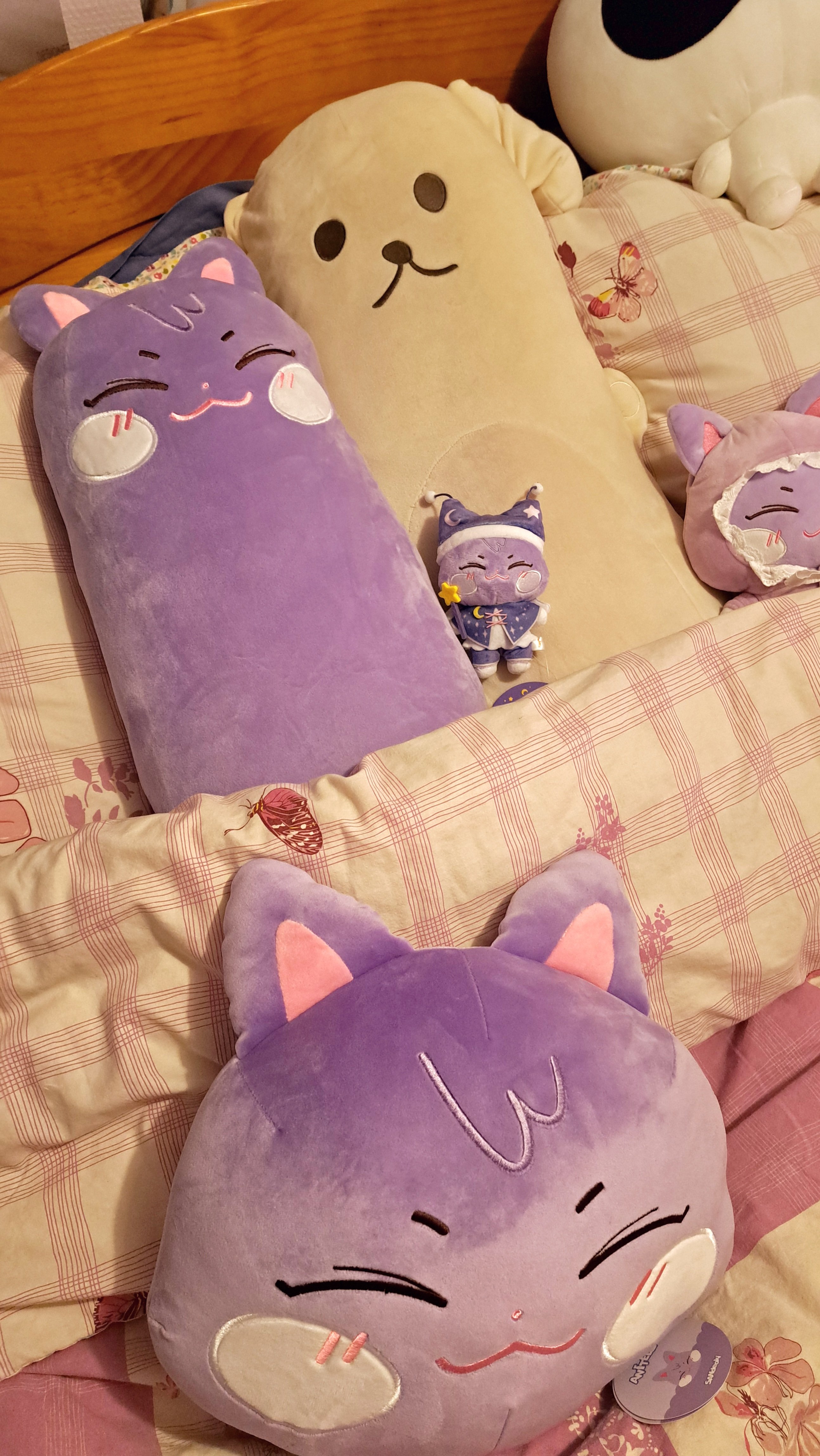 Got my merch yesterday 🥹💜 Sandeoki body pillow is snuggling with