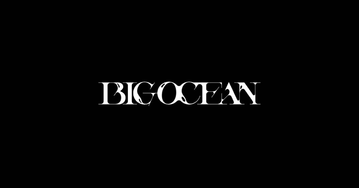 Bigoceanem logo