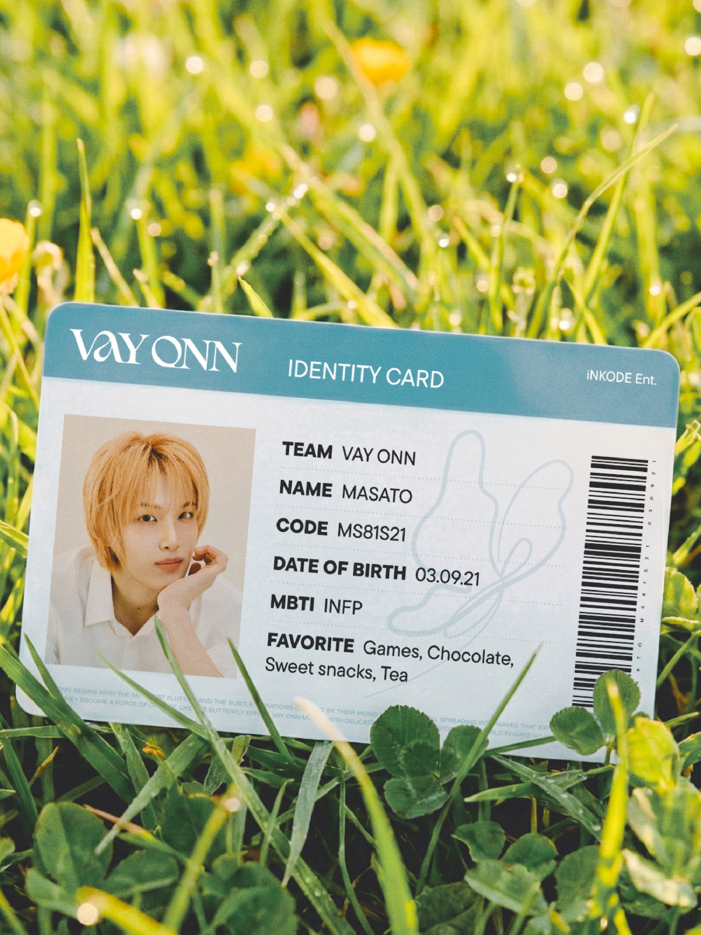 VAYONN's IDENTITY