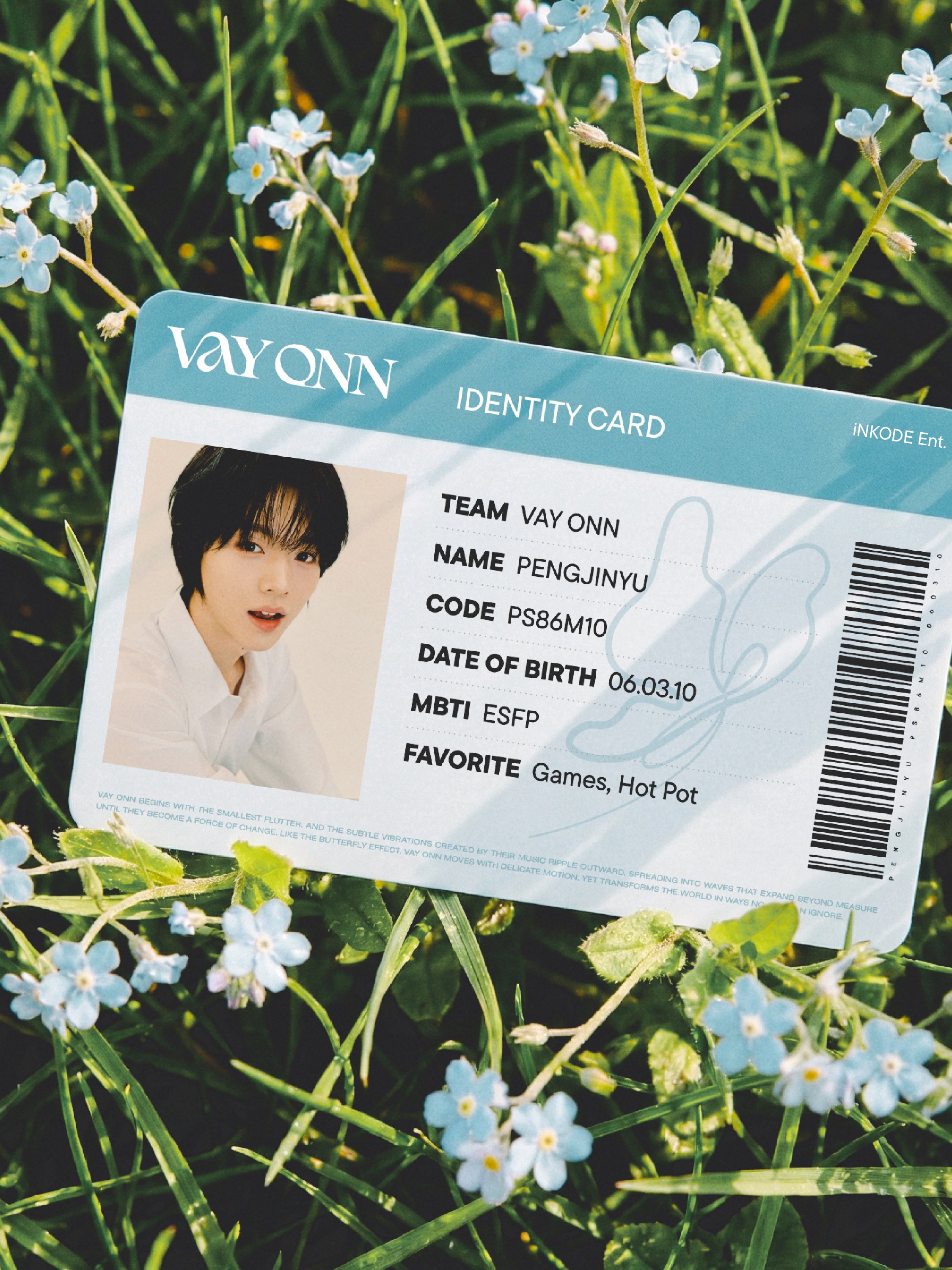 VAYONN's IDENTITY